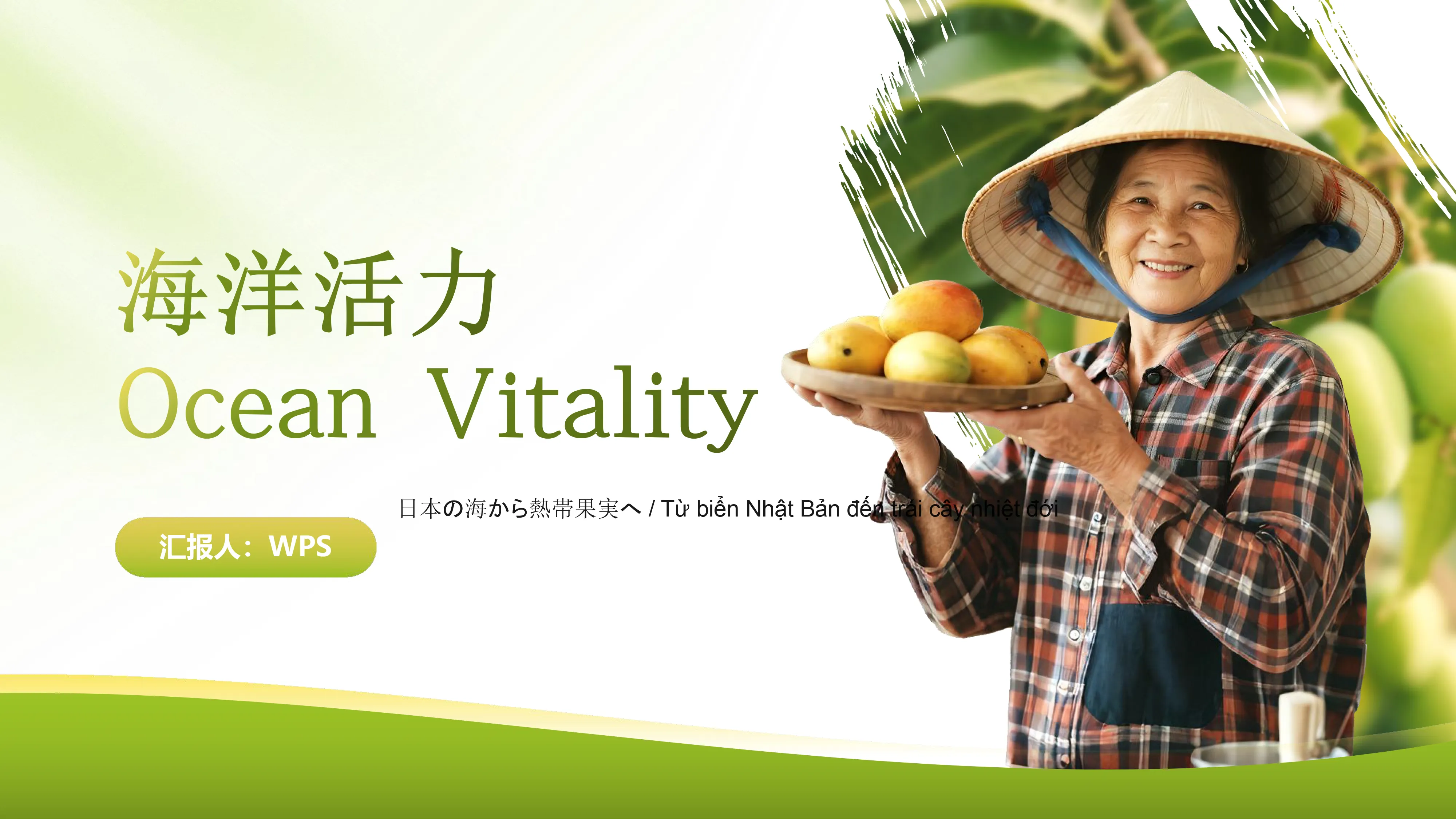 OCEAN VITALITY
